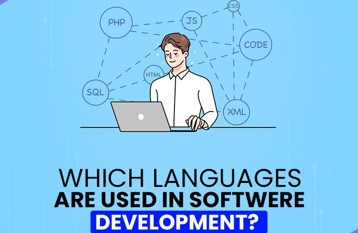 Which languages are using in software development