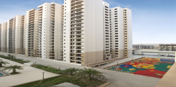 real estate developer