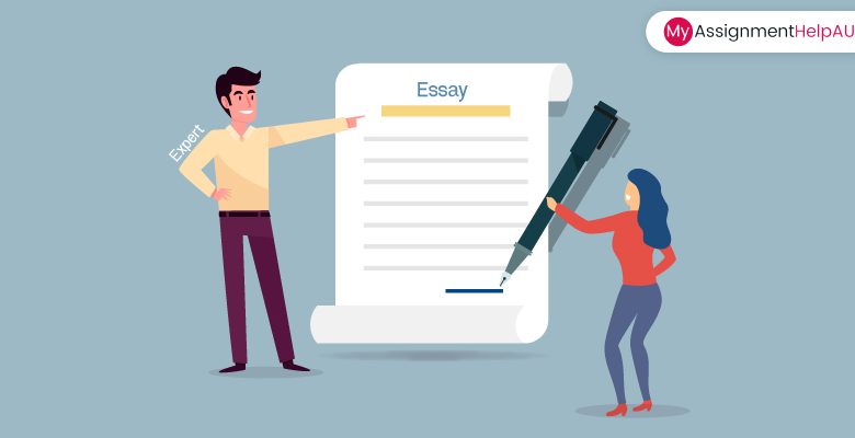 essay help