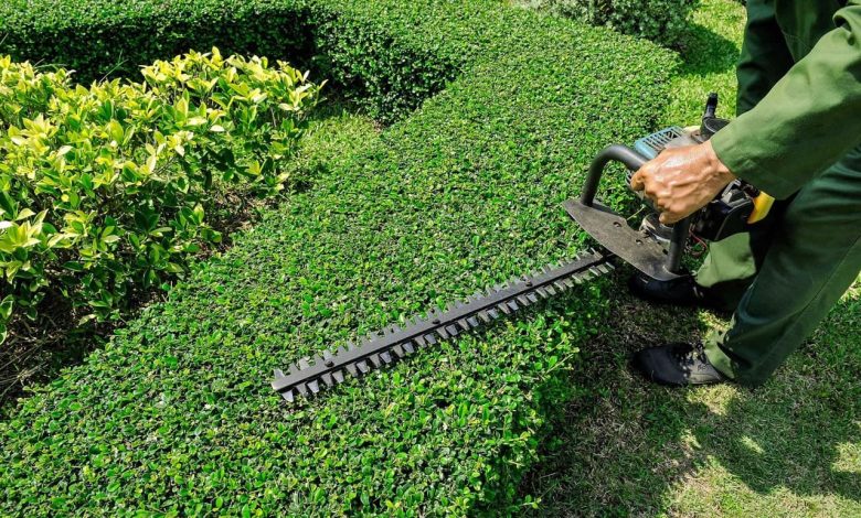 Landscaper