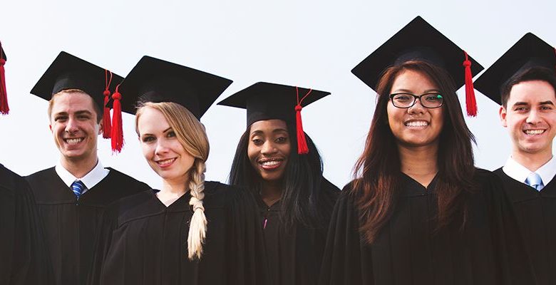 bachelor degree courses in new zealand
