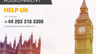 University Assignment Help