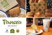 panera
