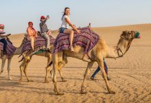 Camel Ride In Dubai