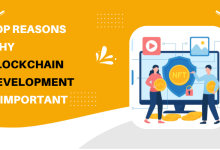 Top Reasons Why Blockchain Development Is Important