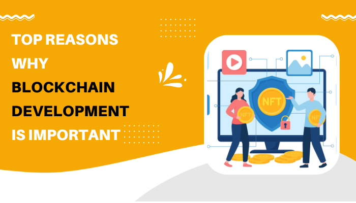 Top Reasons Why Blockchain Development Is Important