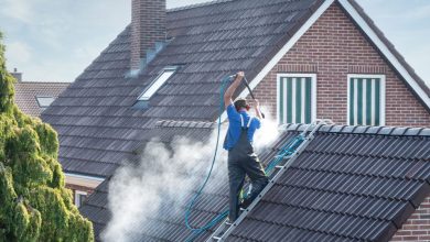 Roof Cleaning
