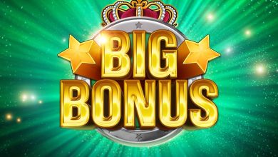 Bonus Terms
